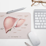 Liver Anatomy Mouse Pad