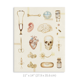 Premium Vertical Art Print- Medicine