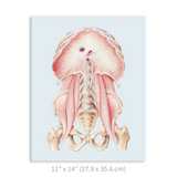 Premium Vertical Art Print- Diaphragm