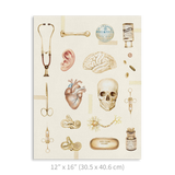 Premium Vertical Art Print- Medicine
