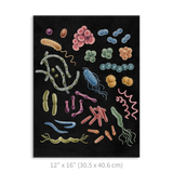 Premium Vertical Art Print- Bacteria