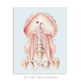 Premium Vertical Art Print- Diaphragm