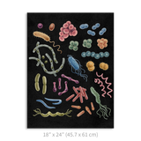 Premium Vertical Art Print- Bacteria