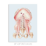 Premium Vertical Art Print- Diaphragm