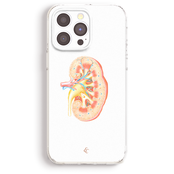 a white phone case with a drawing of a kidney