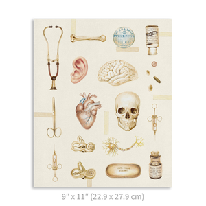 Premium Vertical Art Print- Medicine