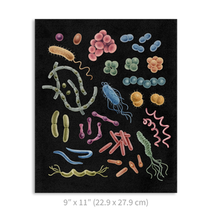 Premium Vertical Art Print- Bacteria