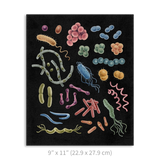 Premium Vertical Art Print- Bacteria