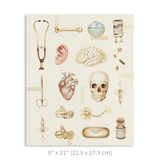 Premium Vertical Art Print- Medicine