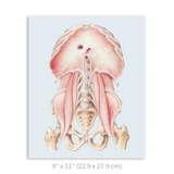 Premium Vertical Art Print- Diaphragm