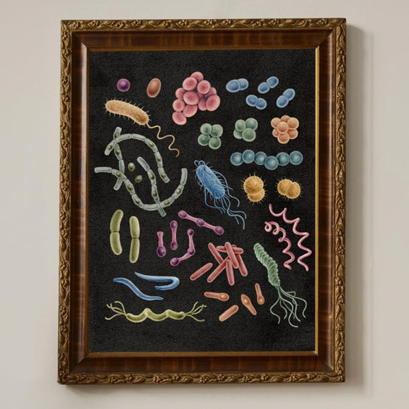 Vertical Art Print- Bacteria
