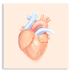 Art Print- All My Heart
