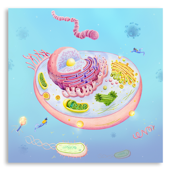Art Print-Cell's Journey