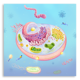 Art Print-Cell's Journey