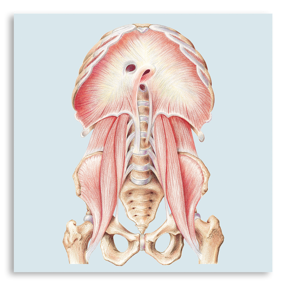 Art Print-Diaphragm and Surroundings