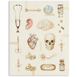 Premium Vertical Art Print- Medicine