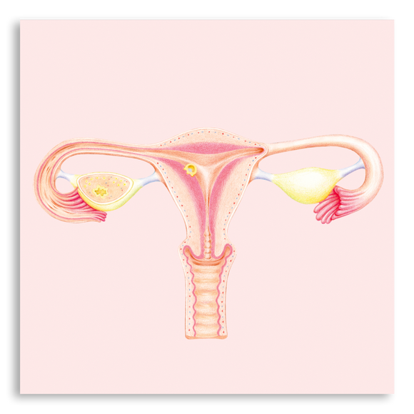 Art Print- Uterus