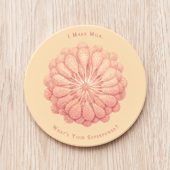 Mammary Gland Ceramic Coaster