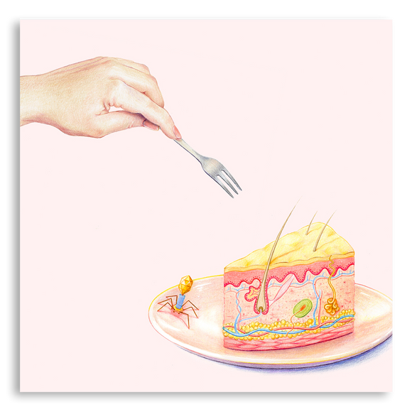 Art Print-Skin Cake