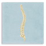 Art Print-Spine