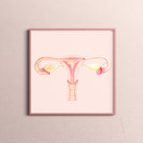 Art Print- Uterus