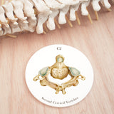 2nd Cervical Vertebra Ceramic Coaster