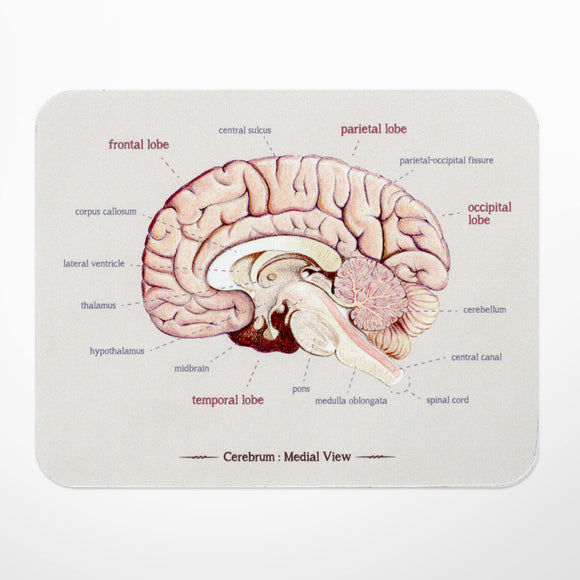 Brain Anatomy Mouse Pad