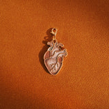 Stethoscope Charm- heart, brain, bone
