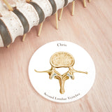 2nd Lumbar Vertebrae Coaster