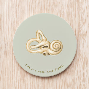 Bony labyrinth of Inner Ear Ceramic Coaster
