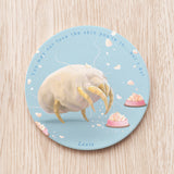 Dust Mite Ceramic Coaster