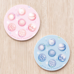 Embryo Ceramic Coaster