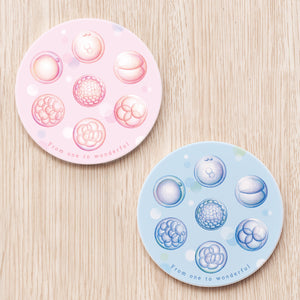 Embryo Ceramic Coaster