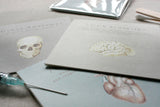 Medical Art Greeting Card