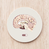 Brain Power Coaster