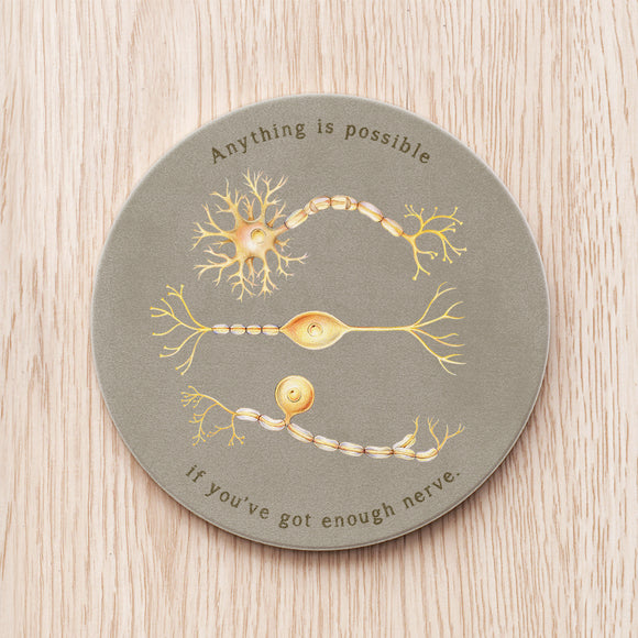 nerve and neuron coaster