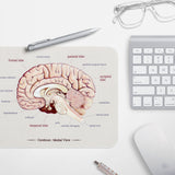 Brain Anatomy Mouse Pad