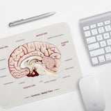 Brain Anatomy Mouse Pad