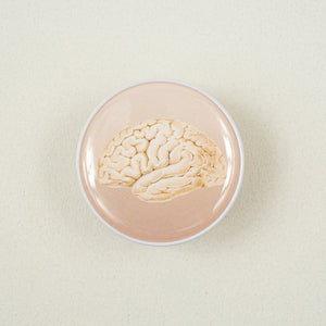 Collapsible Grip - Brain