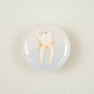 Collapsible Grip - Tooth