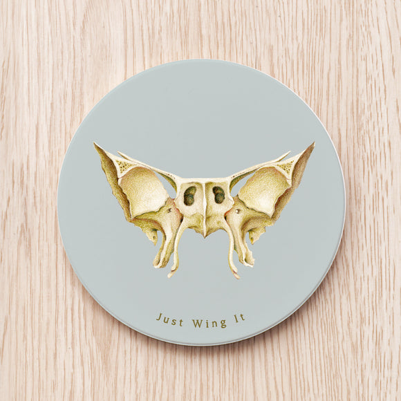Sphenoid Bone Ceramic Coaster