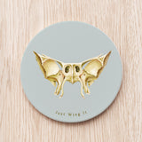 Sphenoid Bone Ceramic Coaster