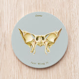 Sphenoid Bone Ceramic Coaster