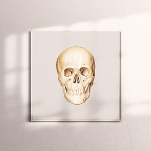 Art Print-Skull Facade