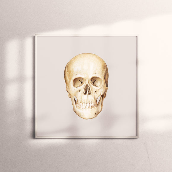 Art Print-Skull Facade
