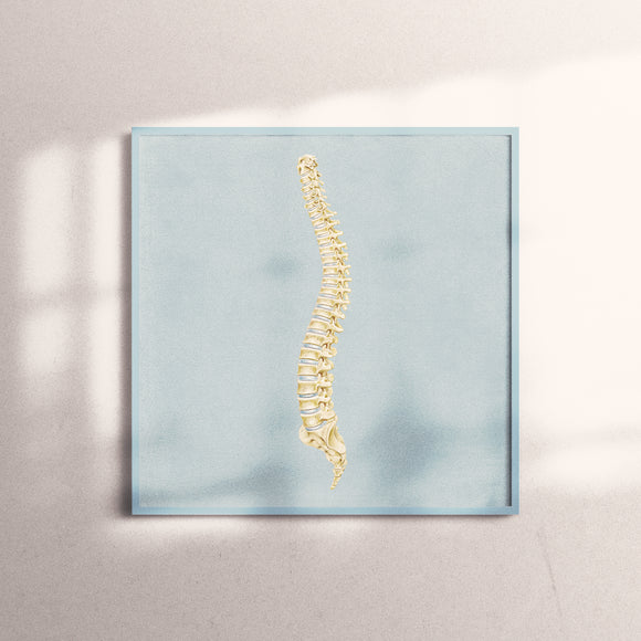 Art Print-Spine